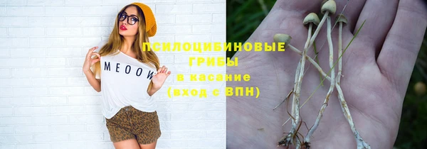 стафф Саяногорск