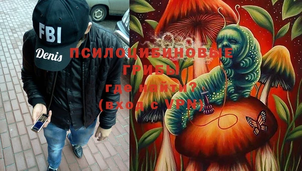 стафф Саяногорск