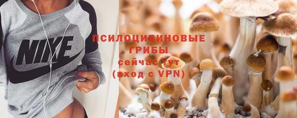 стафф Саяногорск