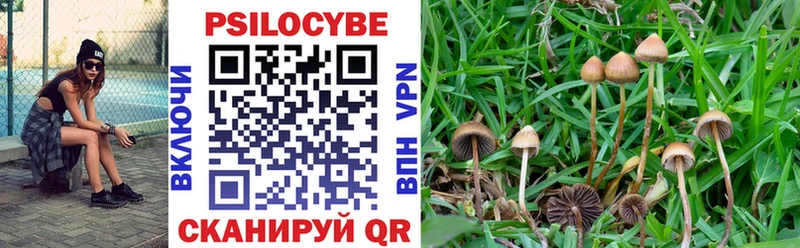 Купить  Павловск  Псилоцибиновые грибы ЛСД 